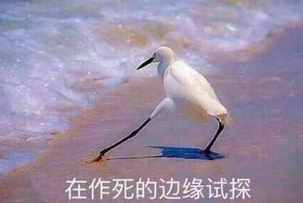 DƬ